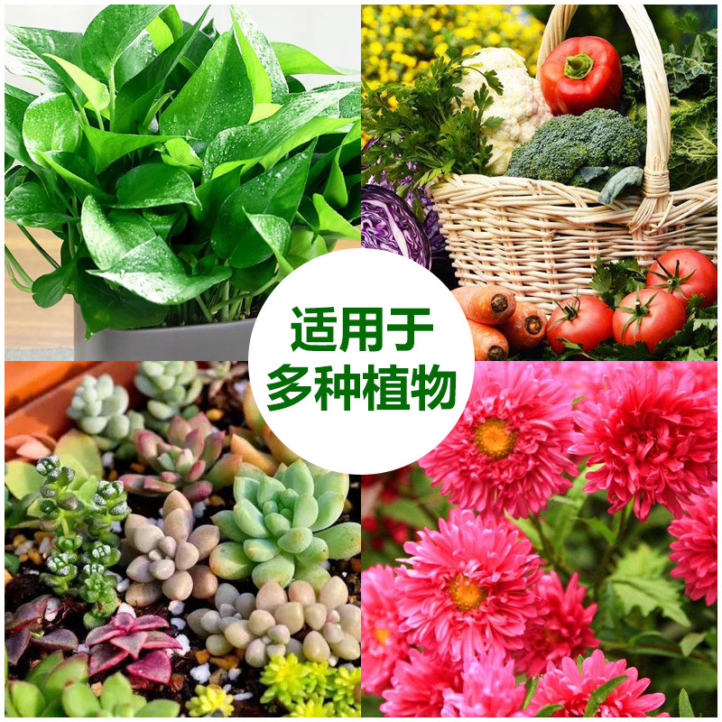 Nutrient Solution Flower Foliar Fertilizer Green Plant Fertilizer Foliar Fertilizer Concentrated Nutrient Solution Hydroponic Plant Universal