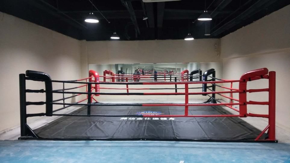 Indoor Fence Boxing Ring Training Table Muay Thai Sanda Ring Standard Competition Martial Arts Floor Boxing Ring Mma