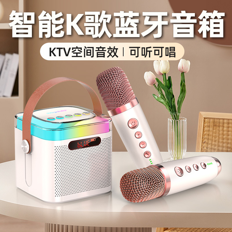 Microphone and Audio Integrated Home Set Portable Microphone Speaker Wireless Bluetooth National Karaoke Kidsren's Home Ktv