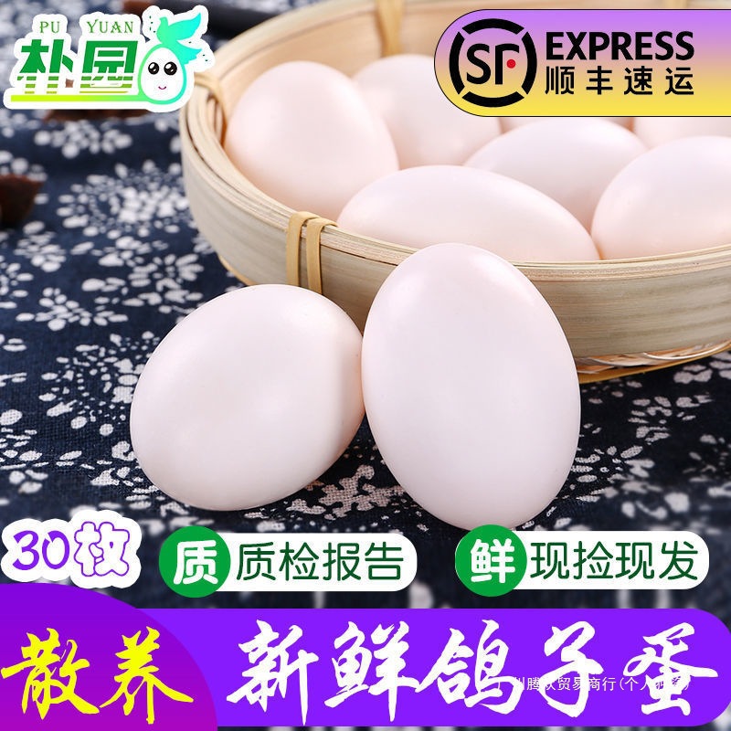 Pigeon Eggs, 15-60 Free-Range Pigeon Eggs Gift Box, Puyuan Large Wholesale