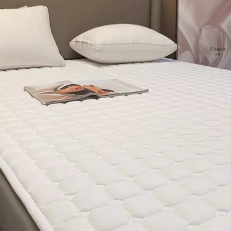 Hotel Mattress Soft Cushion Thin Home Bedroom Bed Mattress Mattress Simmons Protective Pad Quilt Cover Student Dormitory