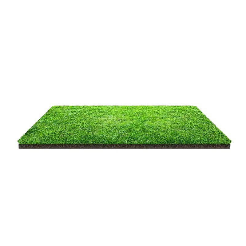 Grass Seeds, Early-Maturing Lawn Seeds, Dwarf Four-Season Grass Seeds, Trample-Resistant Courtyard, Cold-Resistant, No-Trimming Carpet