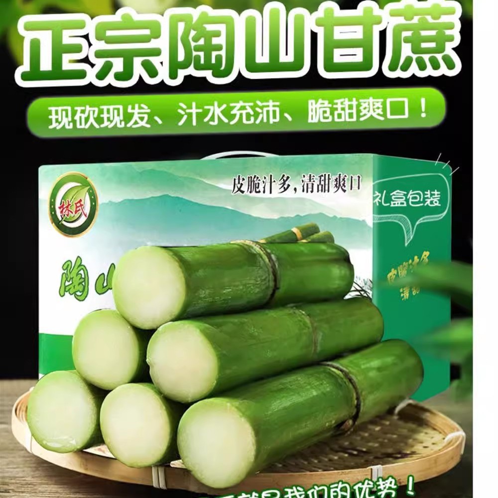 Fresh Gift Box from Wenzhou, Zhejiang, Sf Express, Green-Skinned Taoshan Freshly Cut Green-Skinned 5 Sugar Cane Fruit Cane Fruit Sugar Cane