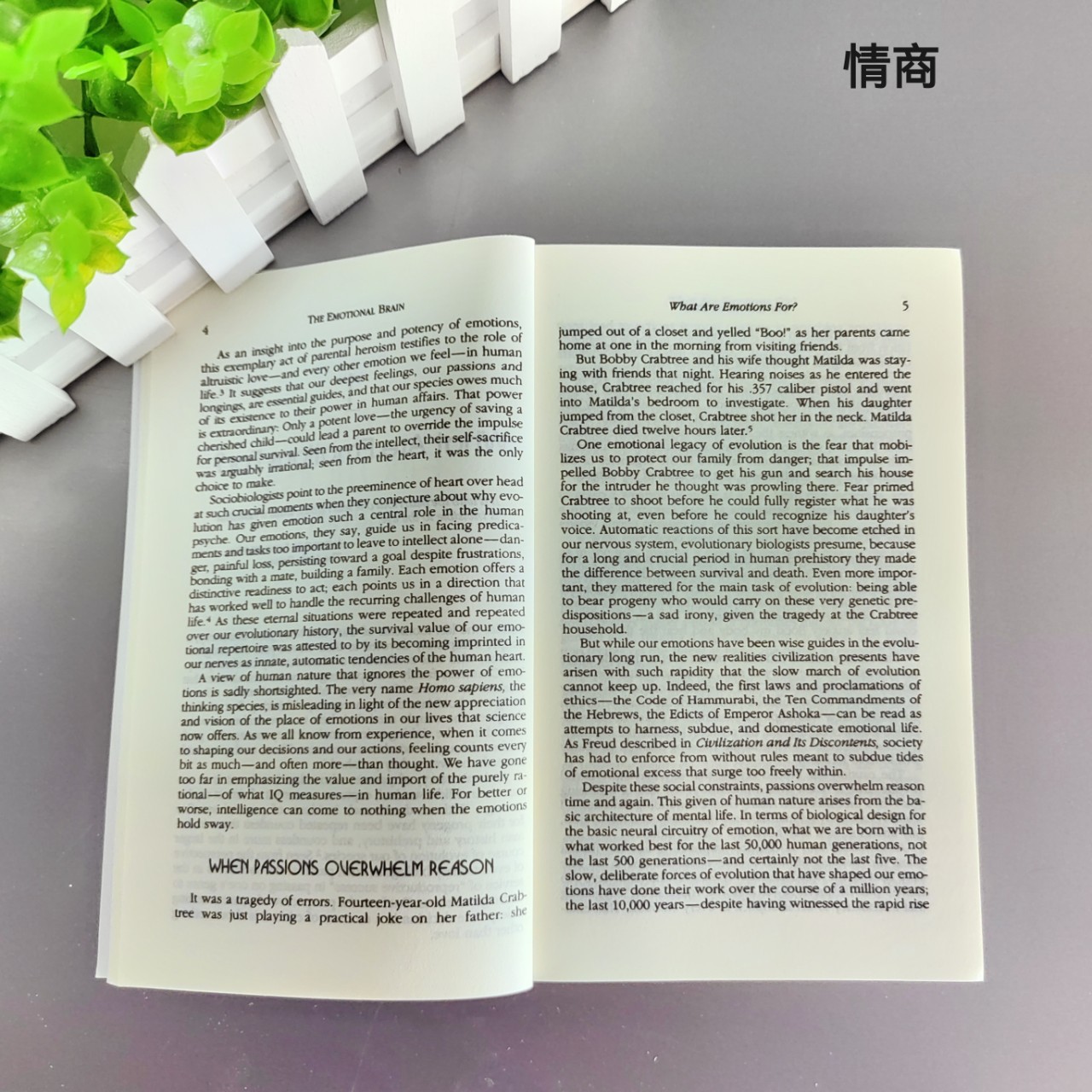 Emotional Intelligence English Version Daniel Golman Emotional Intelligence