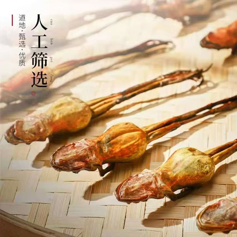 Northeastern Changbai Mountain Specialty: Dried Frog, Dried Forest Frog, Forest Frog Oil, Snow Frog Oil, Bulk Wholesale Food, Health Gift Box