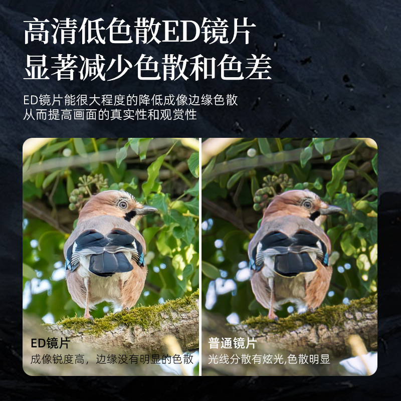 Yunguang 2025 New 10X42Ed High-Definition Micro-Flat Field Portable Bee-Hunting Bird-Watching Concert Telescope