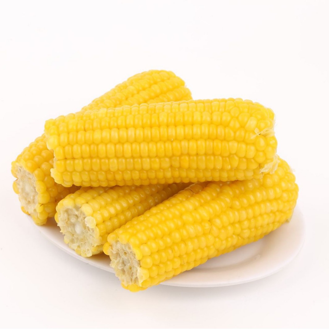 Each Box of Fragrant Corn Contains 12 Ears, 4 Stalks Per Bag, Yellow Sticky Corn/8A