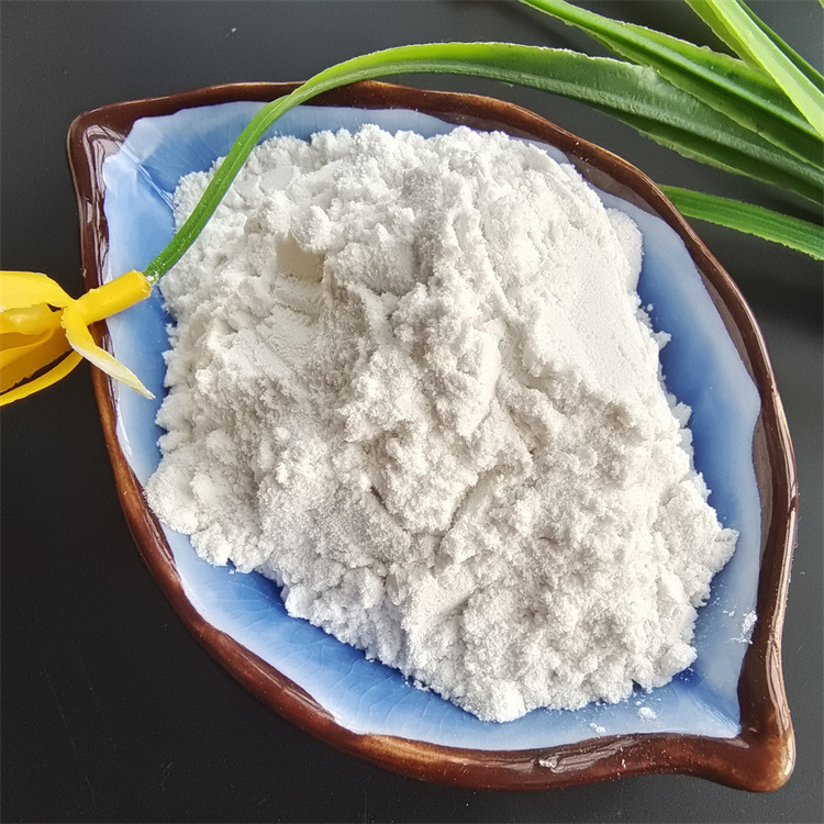 Factory Supplies Filter Aids, Coating Moisture Absorbers, Diatomaceous Earth for Oil Fields, Water Treatment Calcined Diatomaceous Earth