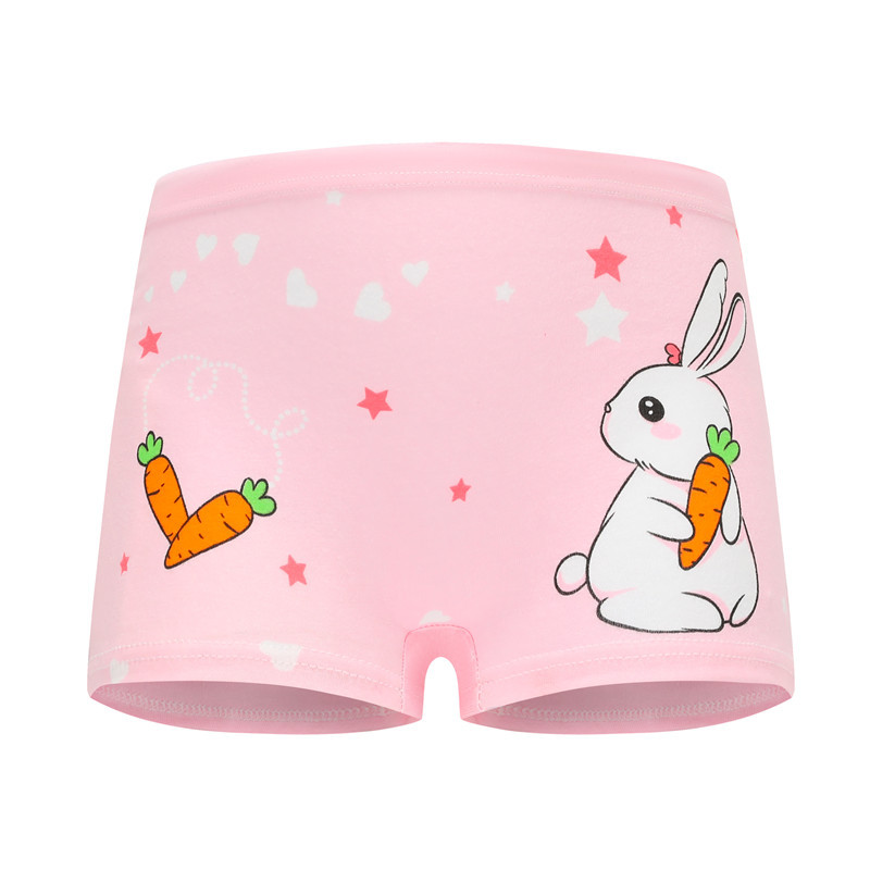 New 12 Pack Girls Underwear Cotton Class a Cartoon Girls Briefs Children Underwear Cotton Wholesale Manufacturers