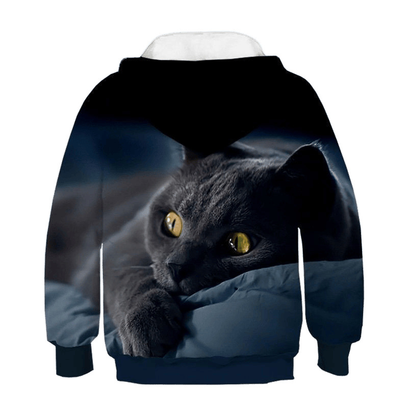 Cross-Border Children's Hooded Sweatshirt 3D Stereo Printed Cartoon Pattern Spring and Autum Children's Clothing Jacket Factory Direct Sales and Delivery