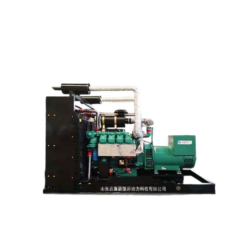 Natural Gas Generator 250Kw Gas Generator Set 400V Breeding Biogas Natural Gas Generator