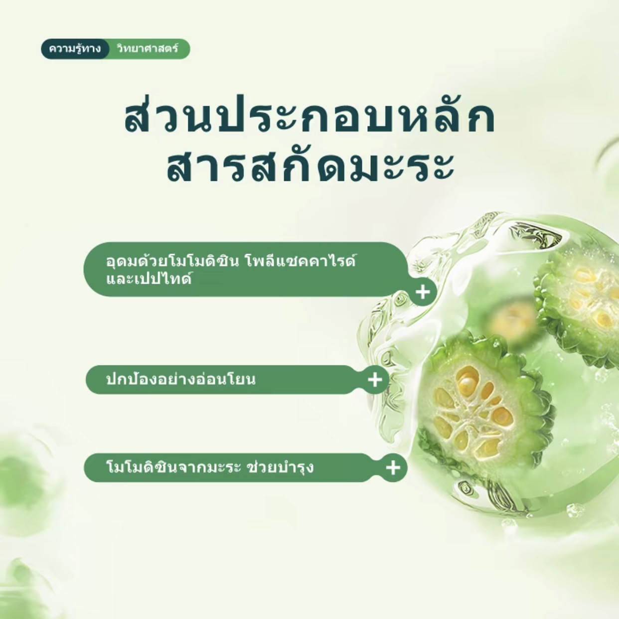 Cross-Border Hot Product Bitter Melon Herbal Care Nutritional Herbal Plant Extract Care and Nourishing Body Herbal Care