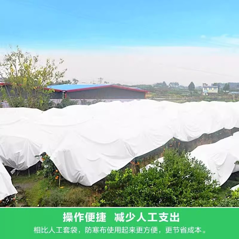 Manufacturers Produce Fruit Tree Cold-Proof Cloth, Citrus Insulation Cloth, Breathable Waterproof Non-Woven Composite Cold-Proof Cloth