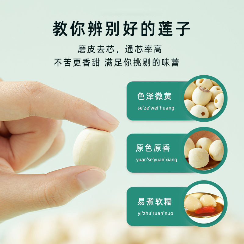 Coreless Lotus Seeds, Dried Lotus Seeds for Porridge and Rice Soup 100g