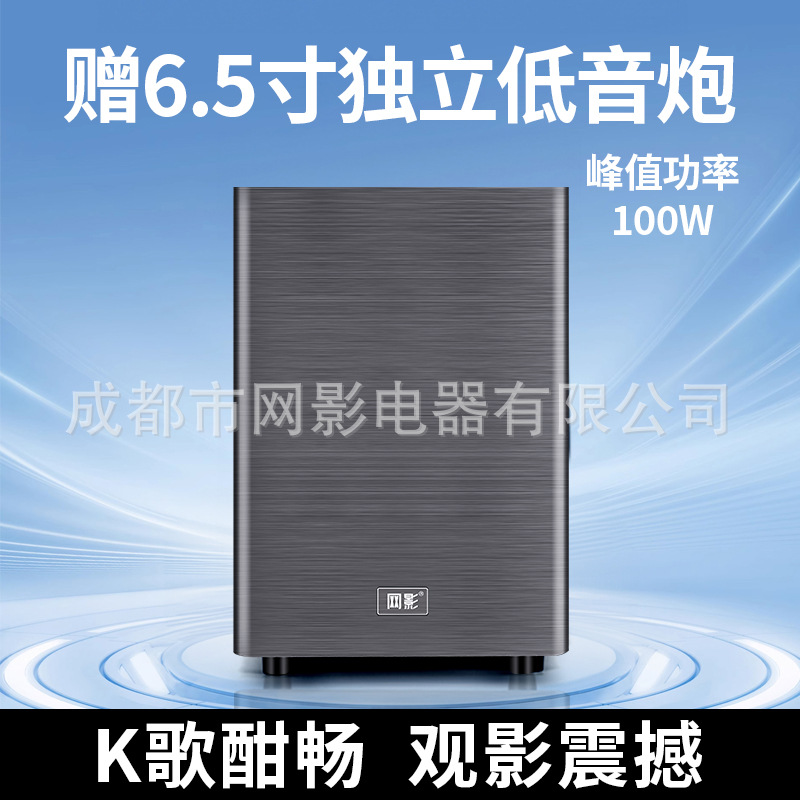 Net Shadow Karaoke Speaker Ktv Home Theater Singing Speaker with Independent Subwoofer Dual Wireless Microphones Stereo