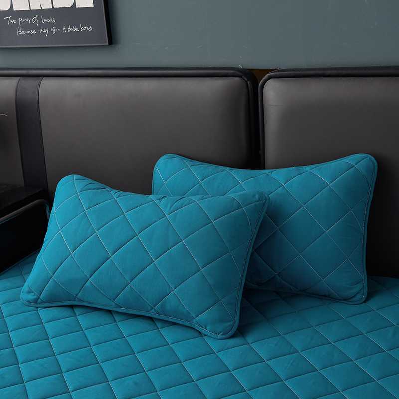 Nantong Home Textile Bedding 2025 New Model Class a Raw Cotton Thickened Quilted Fitted Sheet Single Piece Mattress Protector Group Buying Wholesale