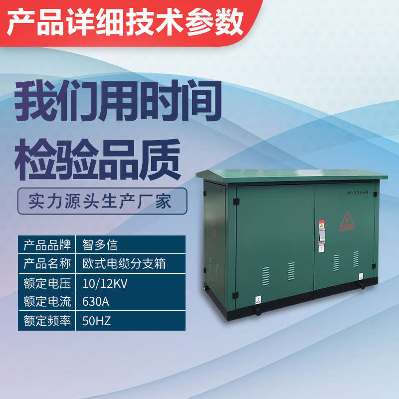 35Kv High Voltage Cable Branch Box 10Kvdfw-12/630 One in Two Three Four Out Outdoor European Style Tap Box