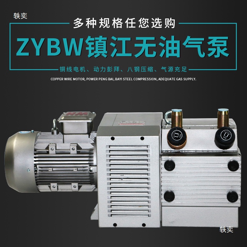 Zhenjiang Tongyou Air Pump Folding Machine Vacuum Pump Zybw60E/60 Cubic Oil-Free Vacuum Pump Scraper Pump Carbon Chip Pump