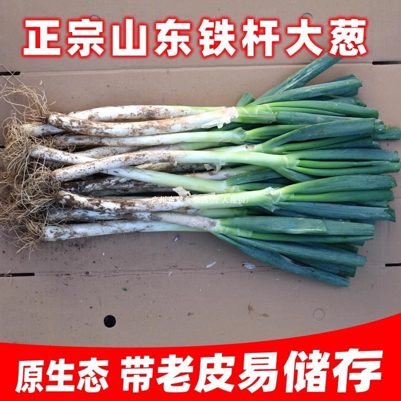 Seasonal Long Green Onions Whole Box Dipping Sauce Green Onions Farm-Grown 5 Shandong Farmer-Assisted Zhangqiu Fresh Vegetables Iron Rod