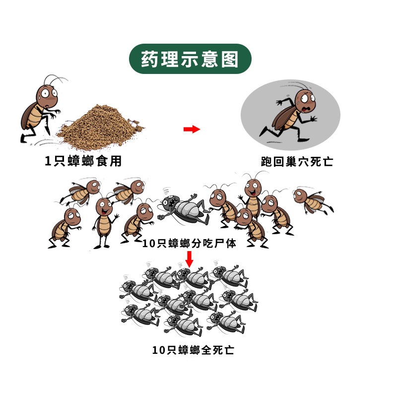 Indoor Household Independent 5g Cockroach Killer Bait Insecticide Powder Cockroach Powder Slightly Toxic and Safe