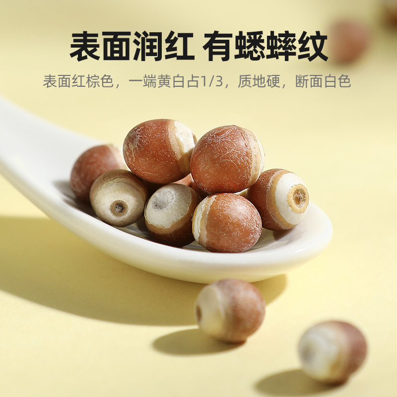 Qilixiang Guangdong Zhaoqing Gorgon Rice Farmhouse-Produced Chicken Head Rice Fresh and Dry Goods Gorgon Medium Grain Canned 250g