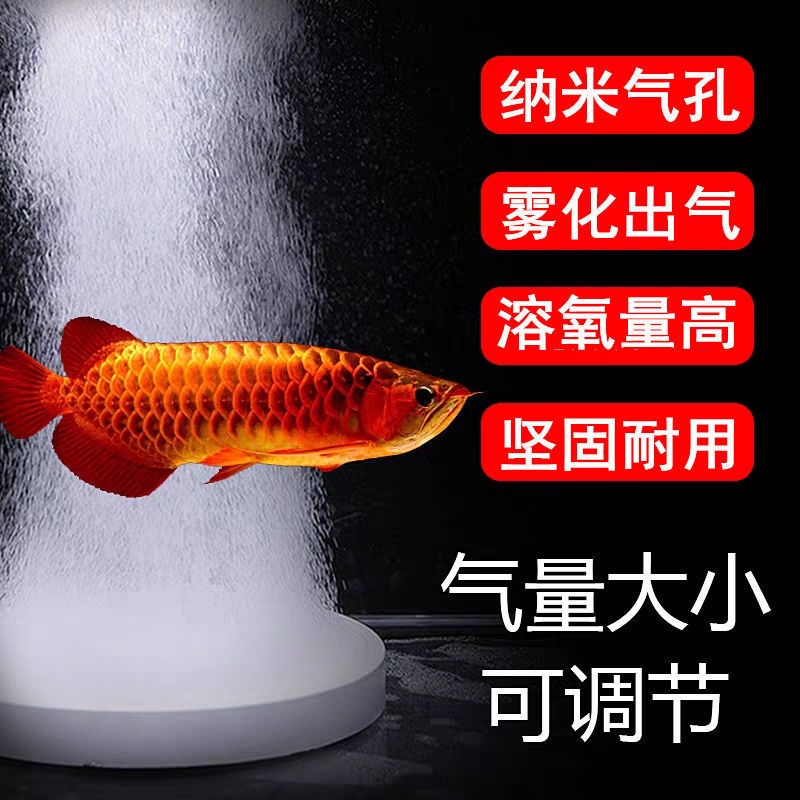Fish Tank Oxygen Pump Nano Bubble Plate High Density Silent Ultra-Fine Oxygen Explosion Low Pressure Refiner Oxygen Pump Oxygen Plate