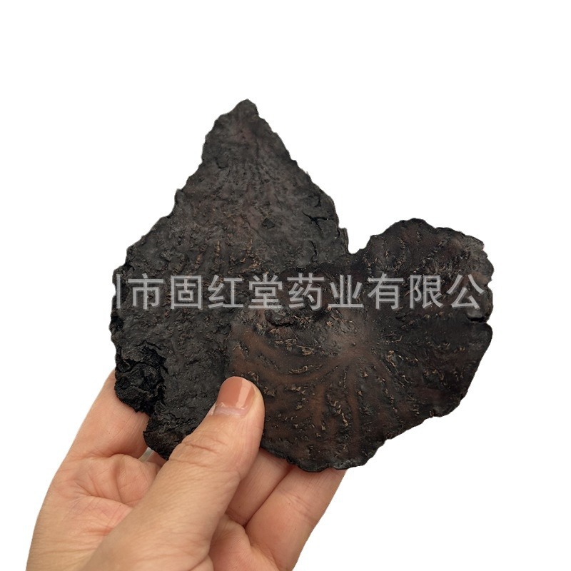 Inner Mongolia Alxa CistancheDeserticola Xinjiang Soft Deserticola Cynomorium Cynomorium                                       C