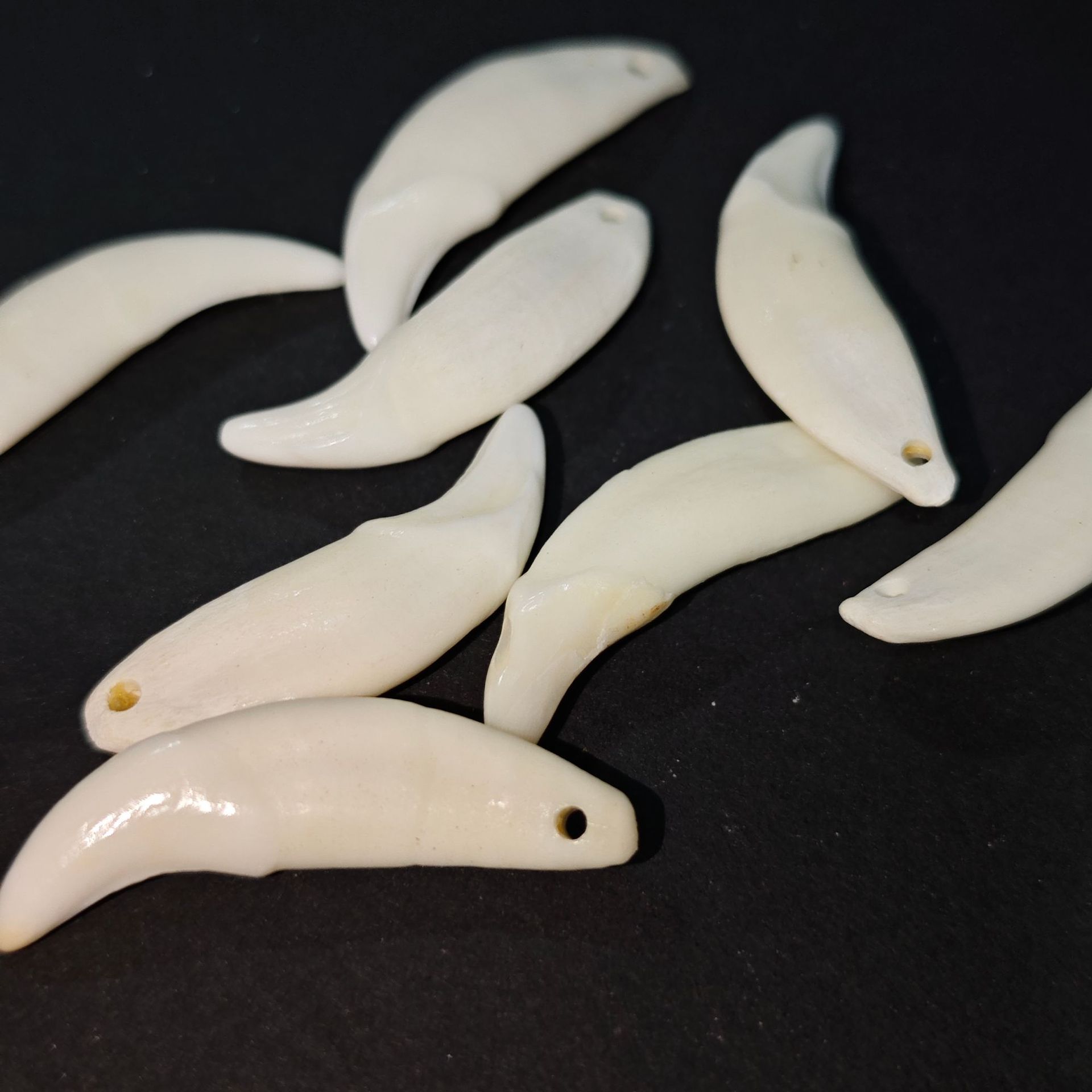 Wholesale Xizang-Style Necklace Pendants Made from Real Dog Teeth, Black Dog Tooth Jewelry Accessories, Wolf Tooth-Shaped Black Dog Teeth