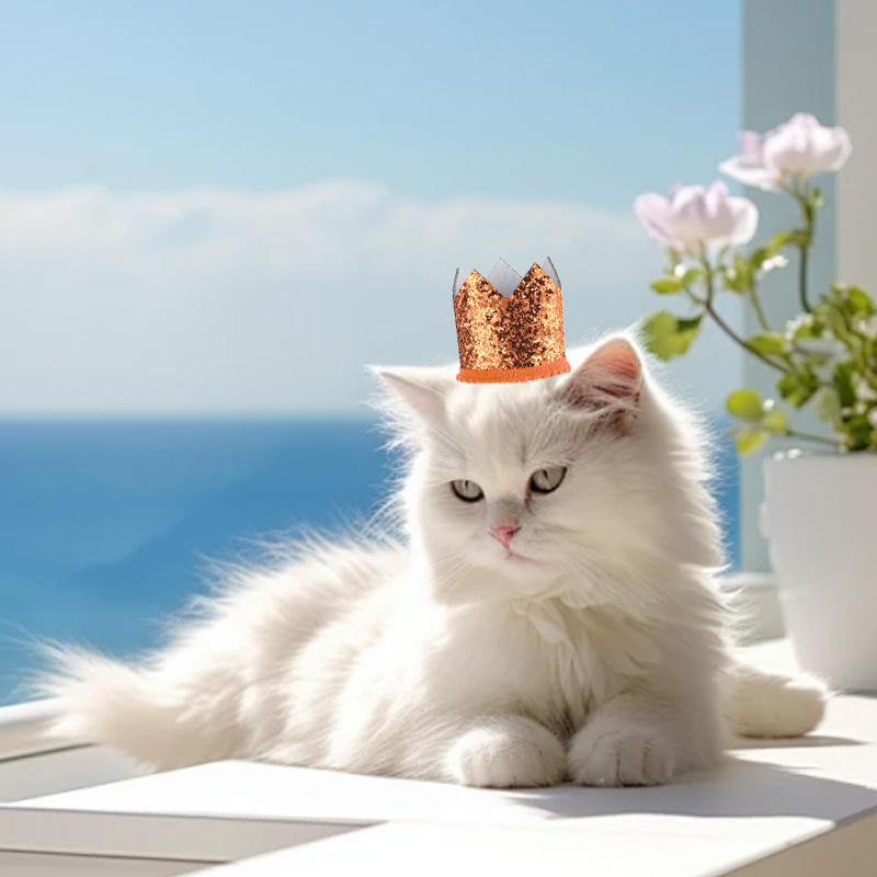 Cross-border shiny pet crown European and American birthday small hat dog crown party dress hat wholesale