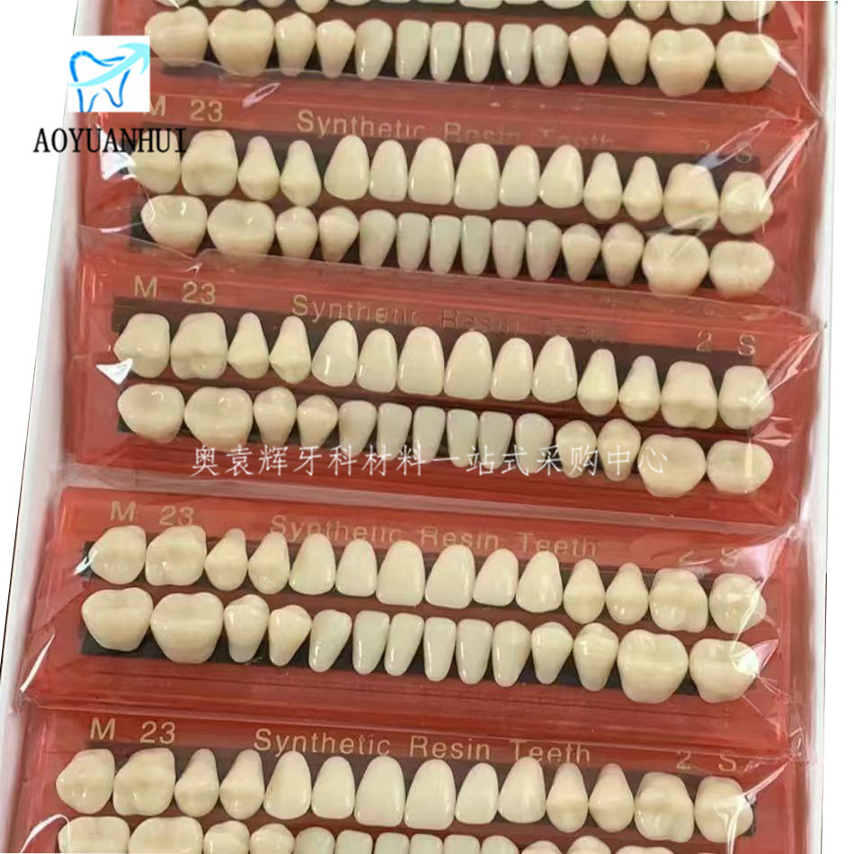28 Student Practice Teeth Plastic Teeth Dental Oral Materials Teaching Mold with Dentures