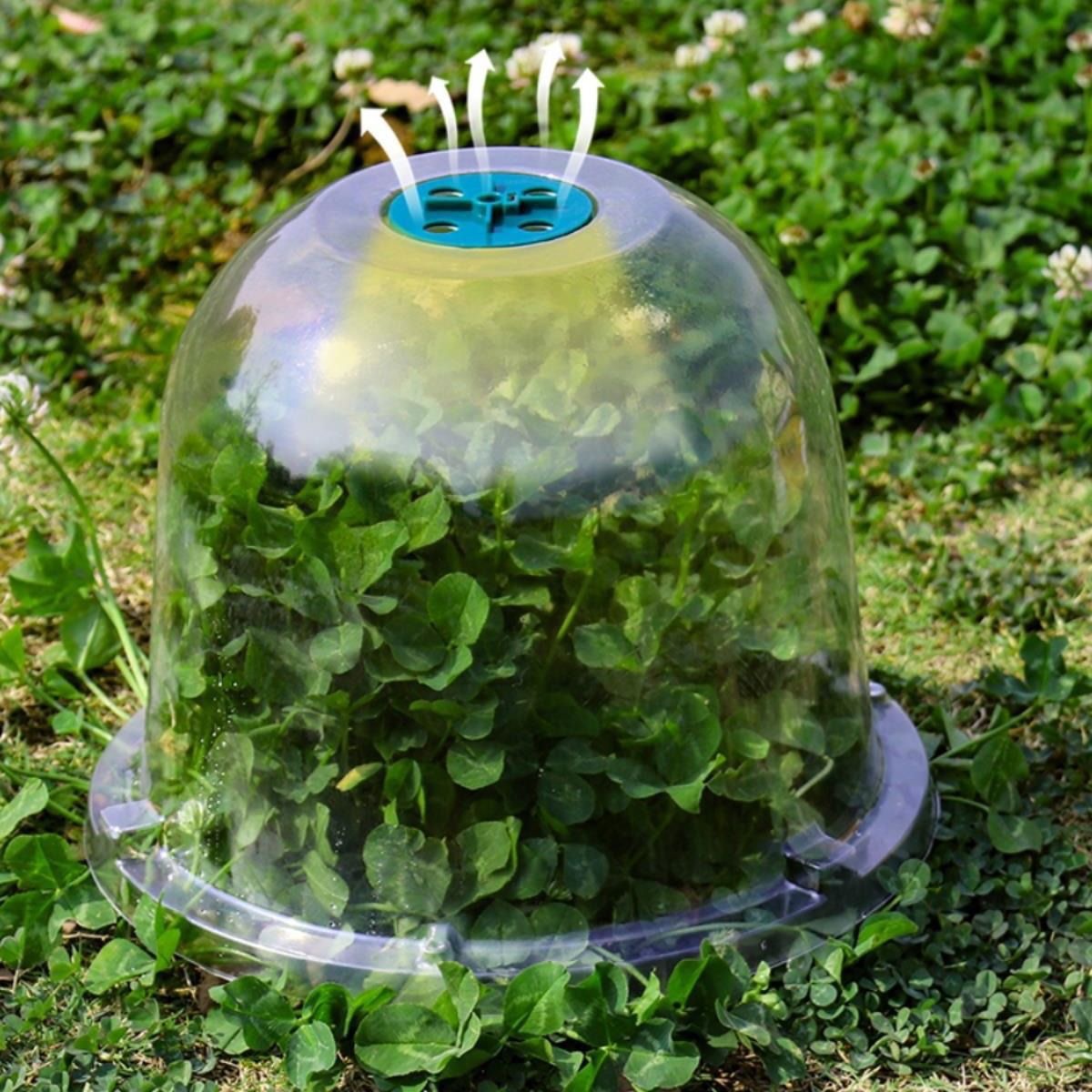 In-Stock Insulation and Moisture-Retaining Planting Protection Cover for Greenhouse Gardening, Blister Bubble Cover for Seedling Nursery Flower Pots