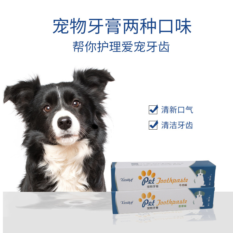 Pet Toothpaste Dog Cat Teeth Cleaning Dog Toothpaste Cat Toothpaste Dog Cat Oral Cleaning Puppy Toothpaste Manufacturer Wholesale