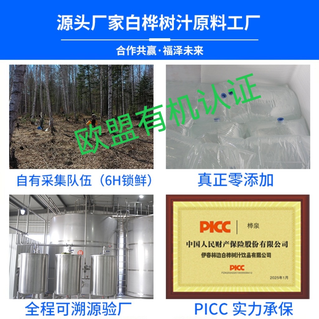 White Birch Sap, White Birch Liquid, White Birch Original Juice, 100% White Birch Original Juice, White Birch Sap