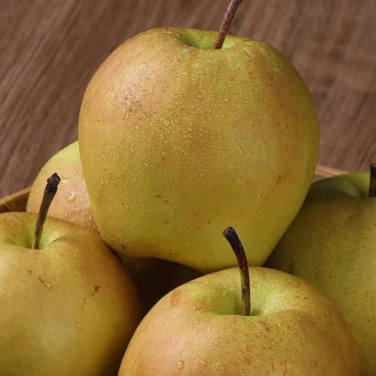Authentic Shanxi Yulu Fragrant Pears, Fresh Fruits, Seasonal Orchard-Picked Fragrant Pears, Snow Pears, Sweet and Delicious, Whole Box Wholesale