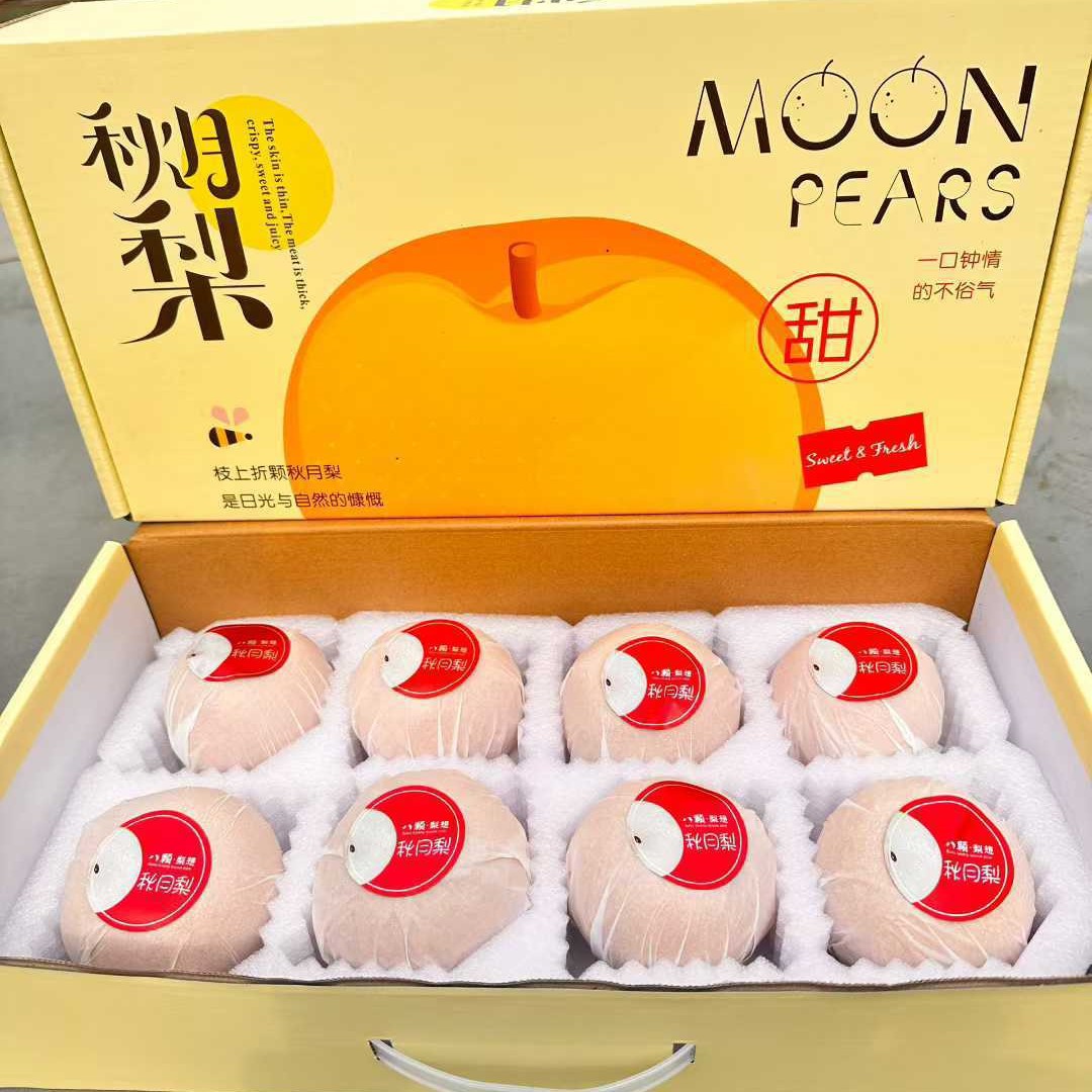 Authentic Laiyang Qiuyue Pear Gift Box 3.5kg Net Weight 6-9 Fruits over 350g Fresh Fruit Pears Seasonal Fruits