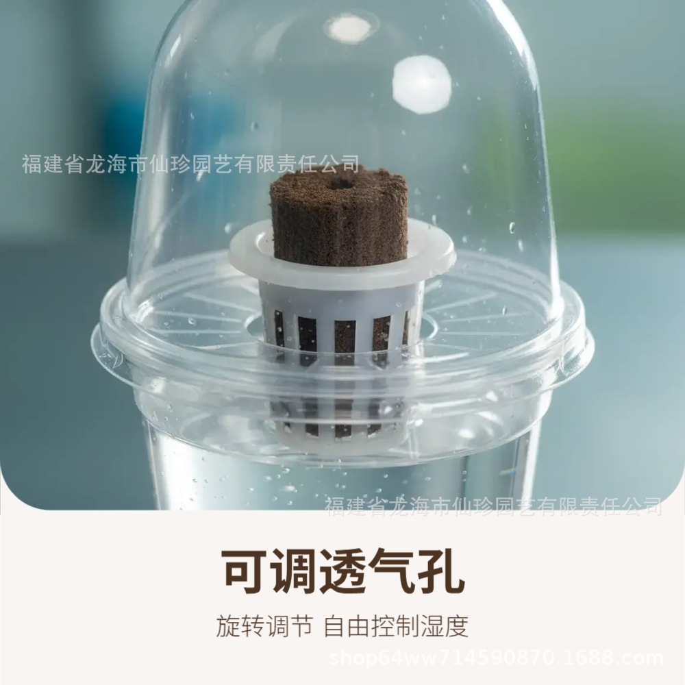 Hydroponic Seed Flower Pot Plastic Cup Root Seed Succulent Flower Fruit and Vegetable Seedling Planting Rooting and Germination Planting Basket