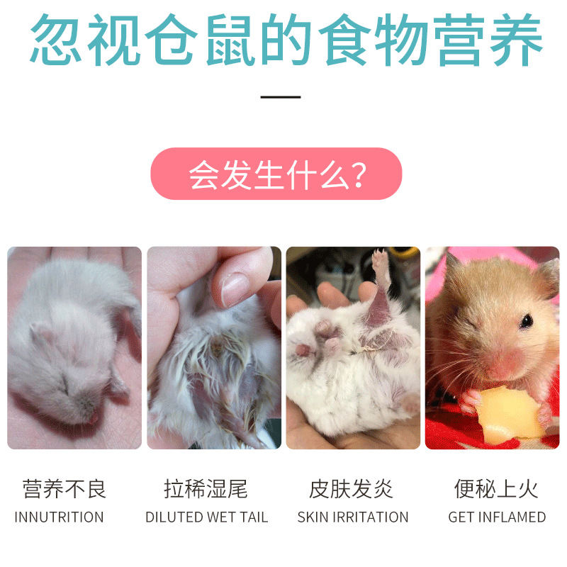 Running around factory direct hamster food small pet food seafood food feed golden bear food 400G