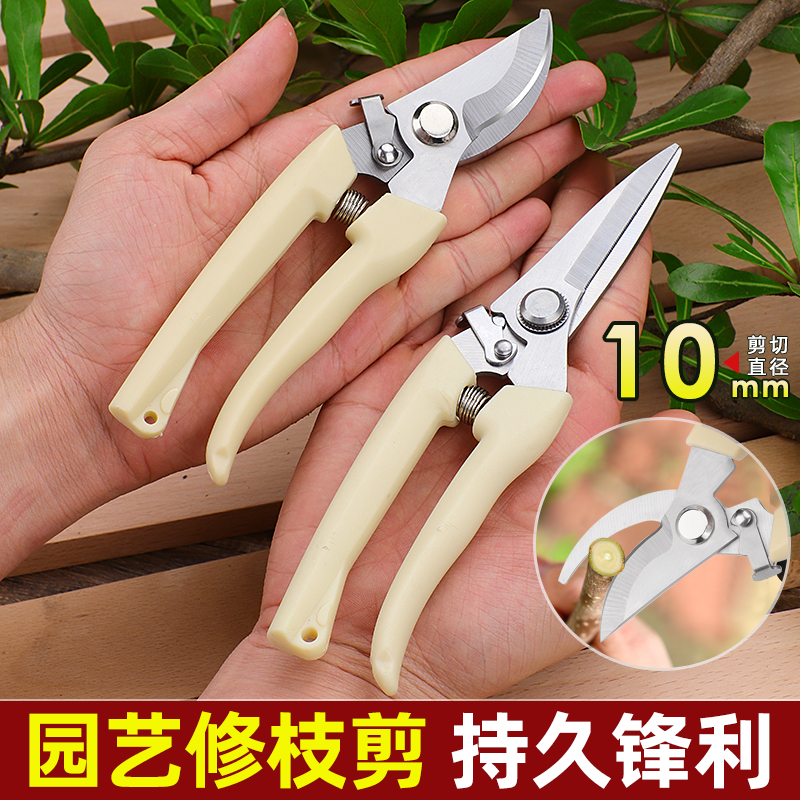 Садовые ножницы, ножницы для обрезки, цветочные ножницы, садовые ножницы, ножницы для веток, ножницы для фруктовых деревьев, ножницы для обрезки цветков