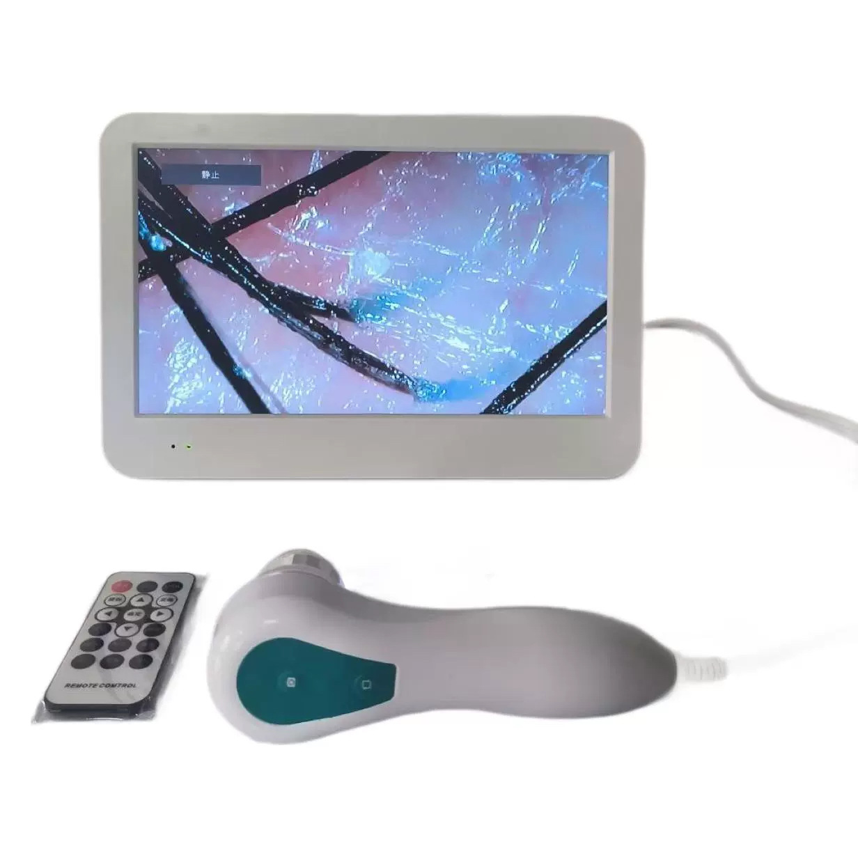 HD scalp detector barber shop hair follicle test instrument skin facial analysis all-in-one machine with screen