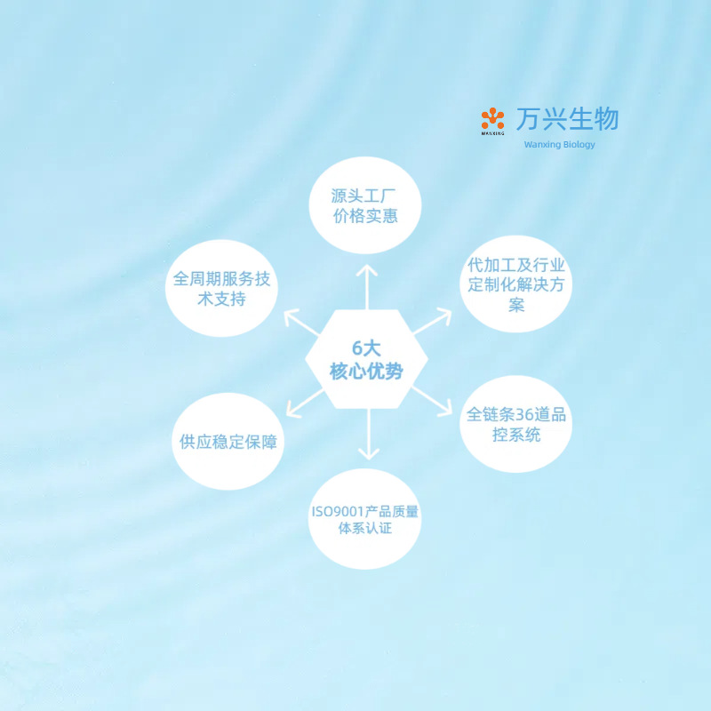 Factory Direct Sales 2-Methylbutanal Methyl Ethyl Acetaldehyde 96-17-3 99% 10g 100g 1kg 1t