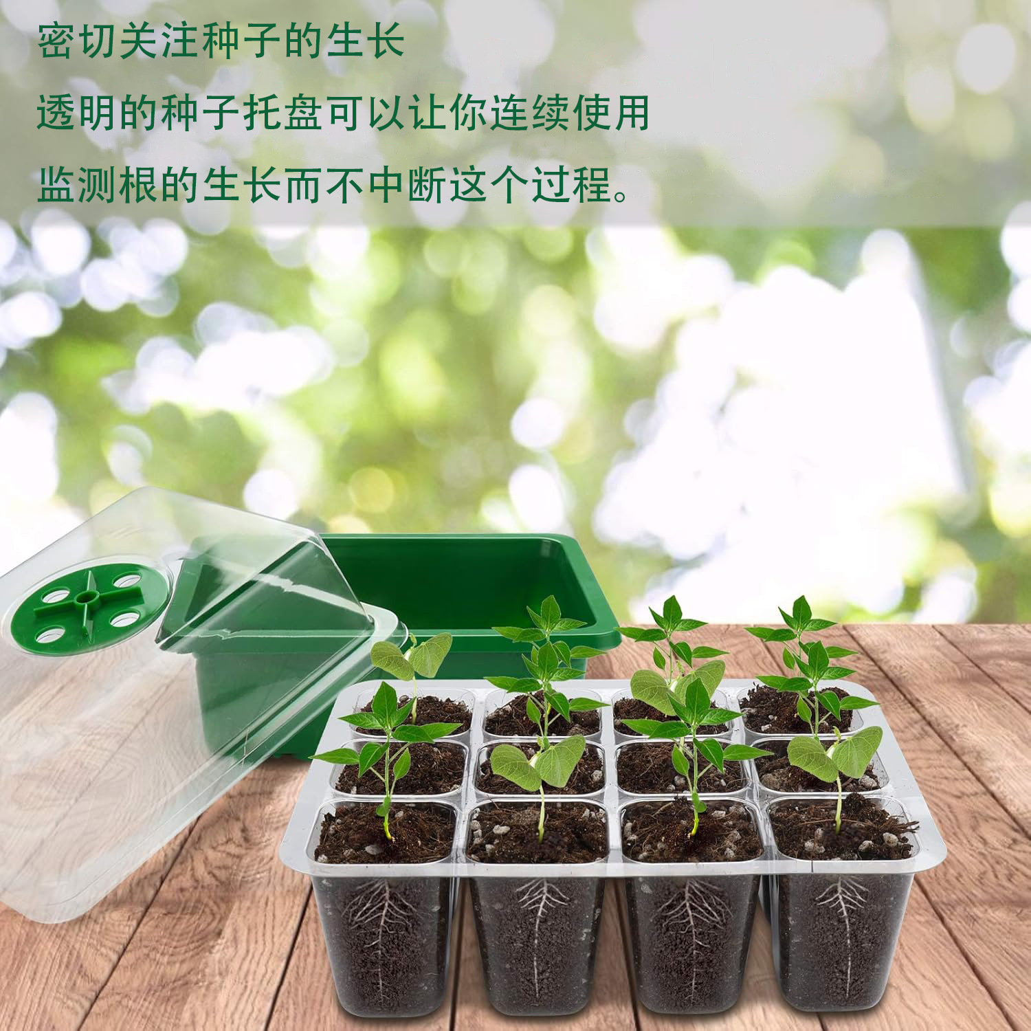 New Timed Dimming Seedling Pot 12 Holes Thickeneded High Cover with Light Seedling Pot Seedling Box Seedling Supplementary Light Seedling Box