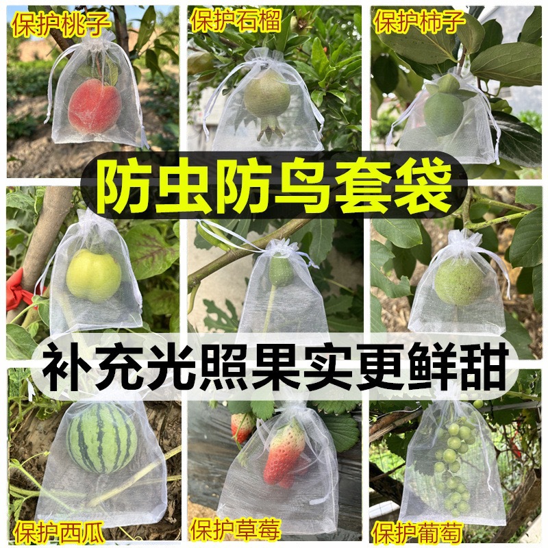Spot Wholesale Fruit Anti-Bird and Insect-Proof Mesh Bag Transparent Fruit Bagging Grape Peach Fig Breathable Drawstring Bag