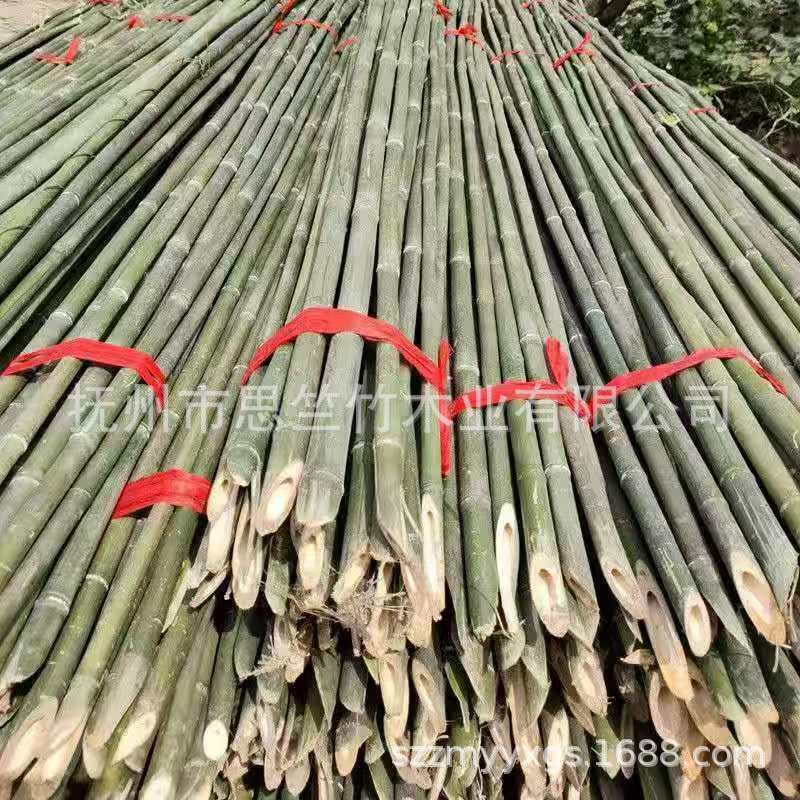 Bamboo Poles for Garden Trellis, Cucumber, Beans, Pepper Climbing Vines, Thin Bamboo Vegetable Rack, Outdoor Bamboo Support Poles for Winter Melon and Goji Berries