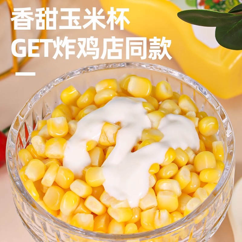 Salad Sauce Sweet Western-Style Sushi Baked Sandwich Burger Special Fruit Meat Floss Scallop Cheese Sauce for Home Use