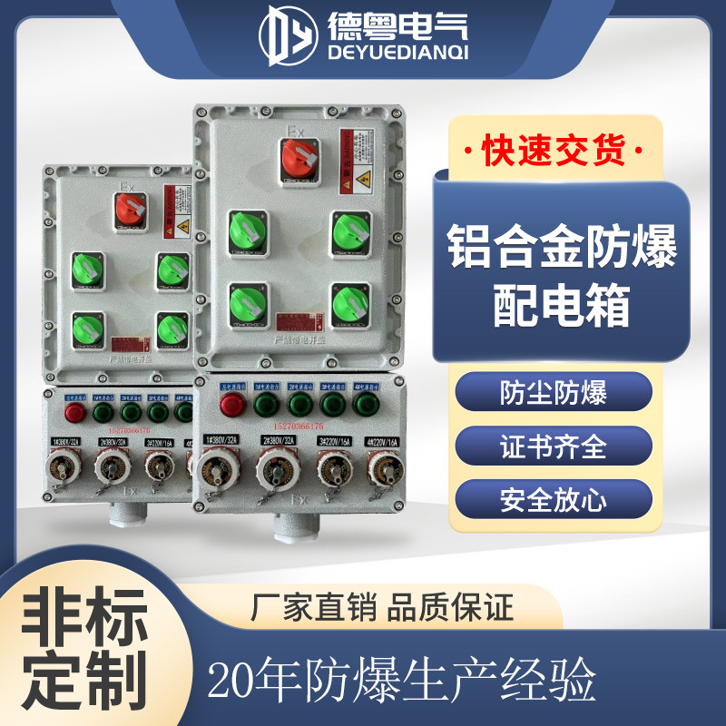 Explosion-proof power lighting distribution box maintenance power supply instrument outdoor IP65 waterproof stainless steel explosion-proof junction box