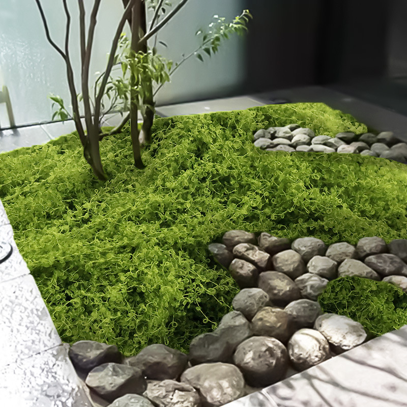 artificial moss bonsai pavement turf green plant decorative filiform moss diy artificial moss lawn