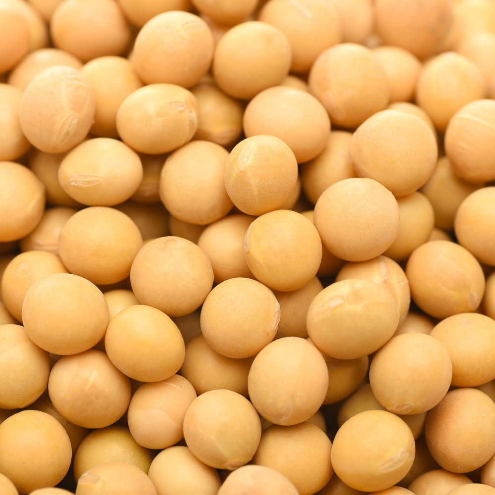 New Soybeans, Special for Making Soy Milk, Farm-Grown Grains, Sproutable Soybeans, Raw Soybeans, Oem