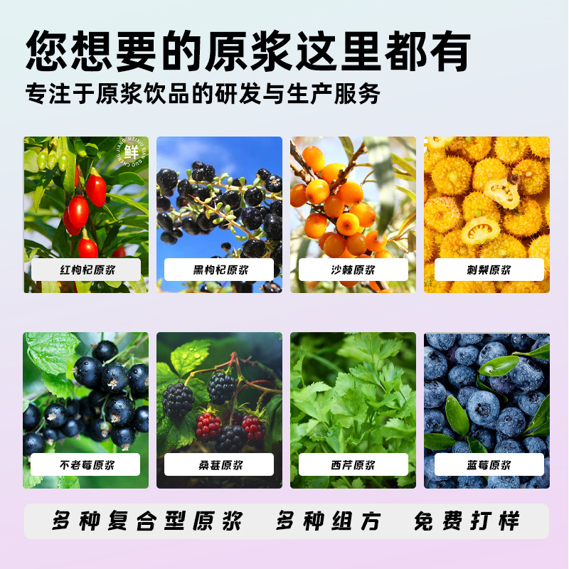 [Fushoukangning] Guizhou Prickly Pear Puree Nfc Fresh Fruit Freshly Squeezed Prickly Pear Vitamin Juice Processing and Customization