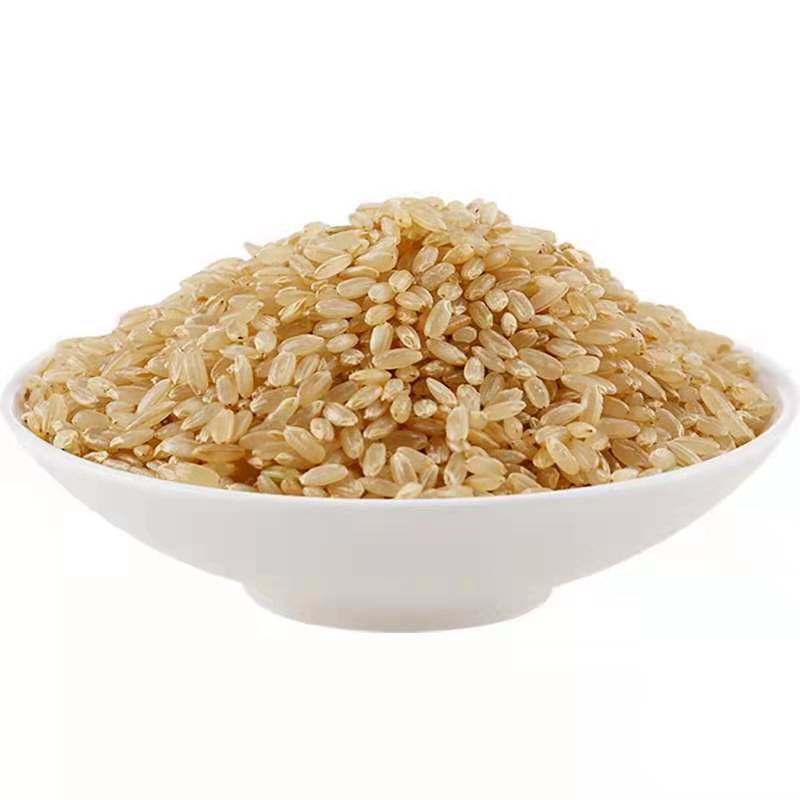 The season's new brown rice northeast germ rice supply cereals coarse grains bulk said farm-produced rice a generation