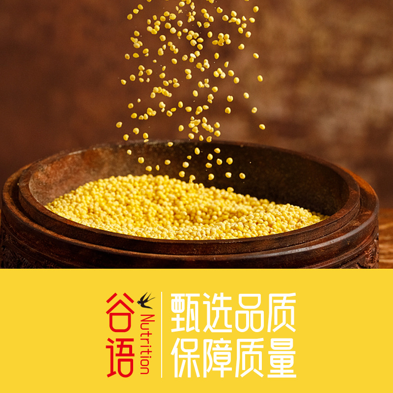 Inner Mongolia yellow millet 500g vacuum packaging new rice cereals coarse grains fragrant glutinous millet porridge millet wholesale